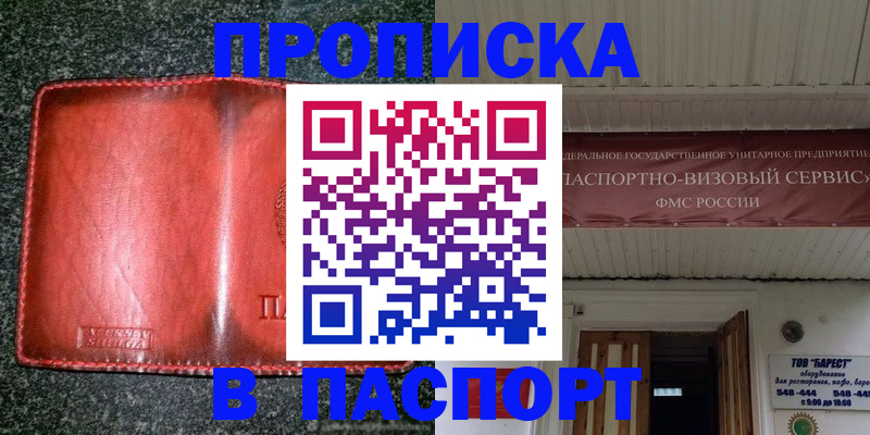 временная прописка в Дубне